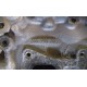 CHIULASA OPEL ASTRA J 1,6 CDTI , AN 2014-2018 ! CHIULASA OPEL ASTRA J 1,6 CDTI , AN 2014-2018 !