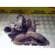 TURBINA AUDI A4 B8 2.0 TFSI ,AN 2008-2014 ! TURBINA AUDI A4 B8 2.0 TFSI ,AN 2008-2014 !