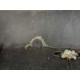 BARA SPATE SMART FORTWO 453 2014-2018