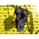 MOTOR VW PASSAT B 5.5, 1.9 TDI MOTOR VW PASSAT B 5.5, 1.9 TDI
