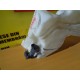 VAS LICHID PARBRIZ FORD FOCUS II, AN 2005-2011 VAS LICHID PARBRIZ FORD FOCUS II, AN 2005-2011