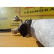 MACARA DREAPTA SPATE OPEL ANTARA, AN 2006-2016 MACARA DREAPTA SPATE OPEL ANTARA, AN 2006-2016