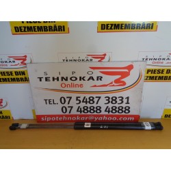 AMORTIZOR HAION FORD C-MAX, AN 2010-2020
