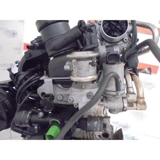 MOTOR VOLKSWAGEN GOLF IV 1.6 BENZINA 8V AN 1996-2004 MOTOR VOLKSWAGEN GOLF IV 1.6 BENZINA 8V AN 1996-2004